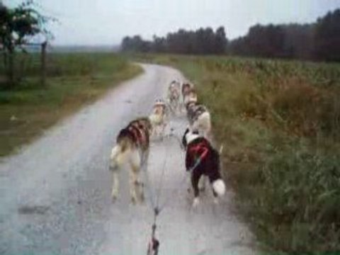 Entrainements 2007 018