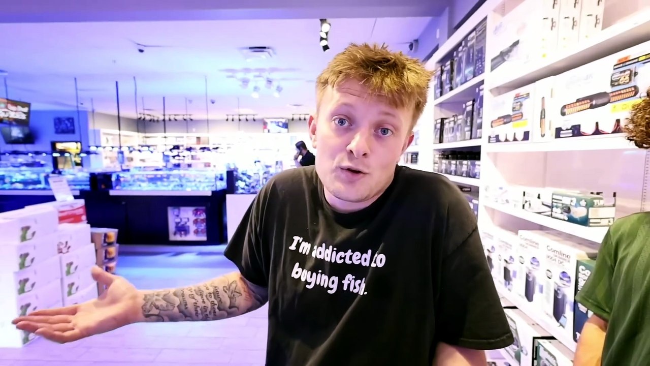 Buying NEW FISH for My SALTWATER AQUARIUMS!! (No Budget)