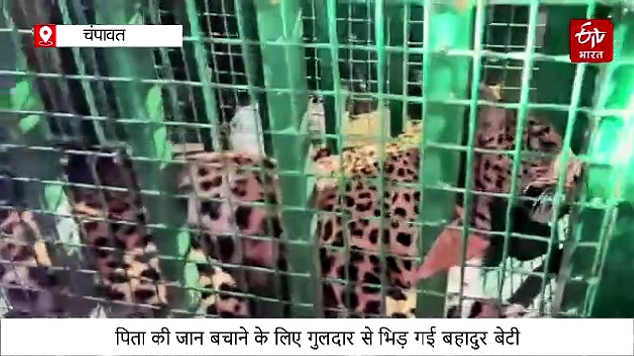 पिता की जान बचाने के लिए गुलदार से भिड़ गई बहादुर बेटी, लेपर्ड को घर के अंदर किया कैद