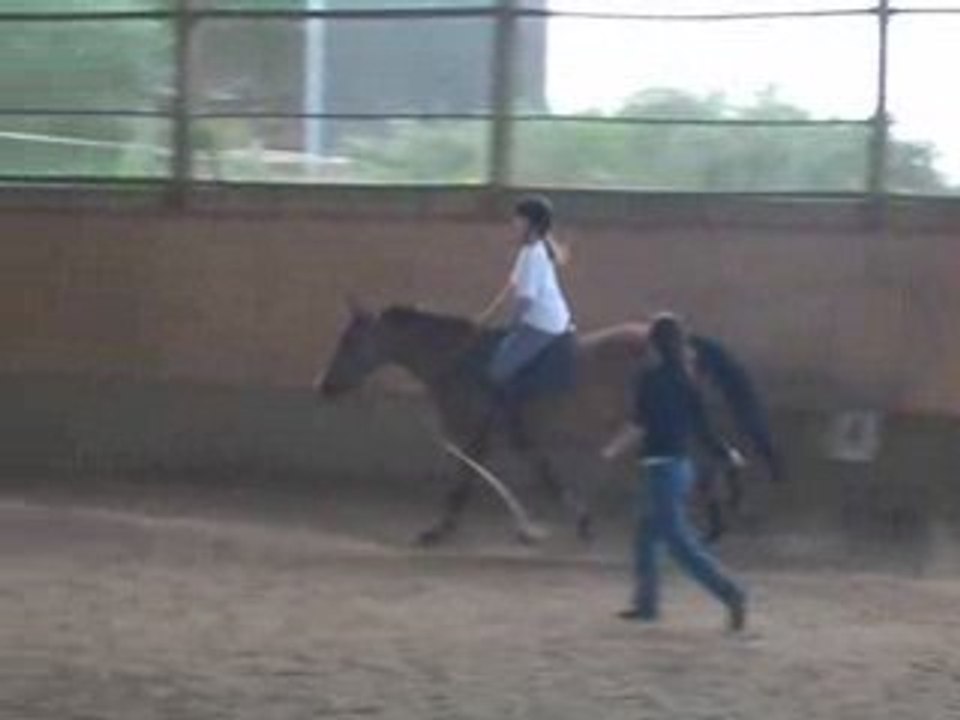 querria et flo