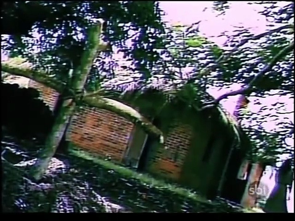 Pantanal - Capítulo 9