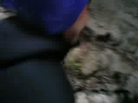 Dav' canyoning Angon