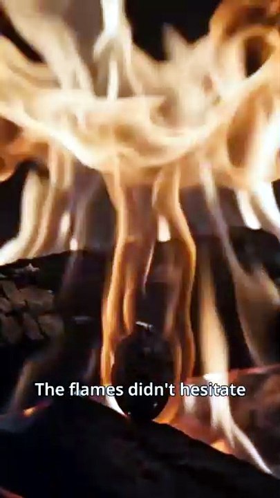 [EngSub] My Alpha Father Ruined My Luna Mother for a Rogue Whore | 🌎Aurora [Full Movie]