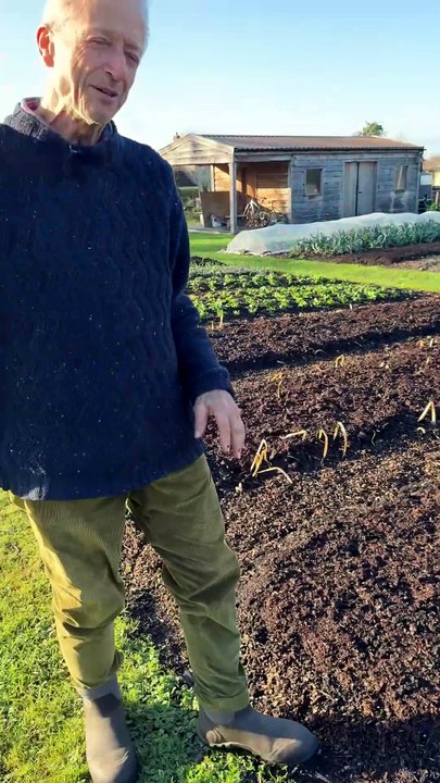 Cómo preparar tus camas sin cavar: acolchado y cuidado de la tierra para invierno y primavera