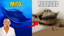 Criaturas legendarias que sí existen
