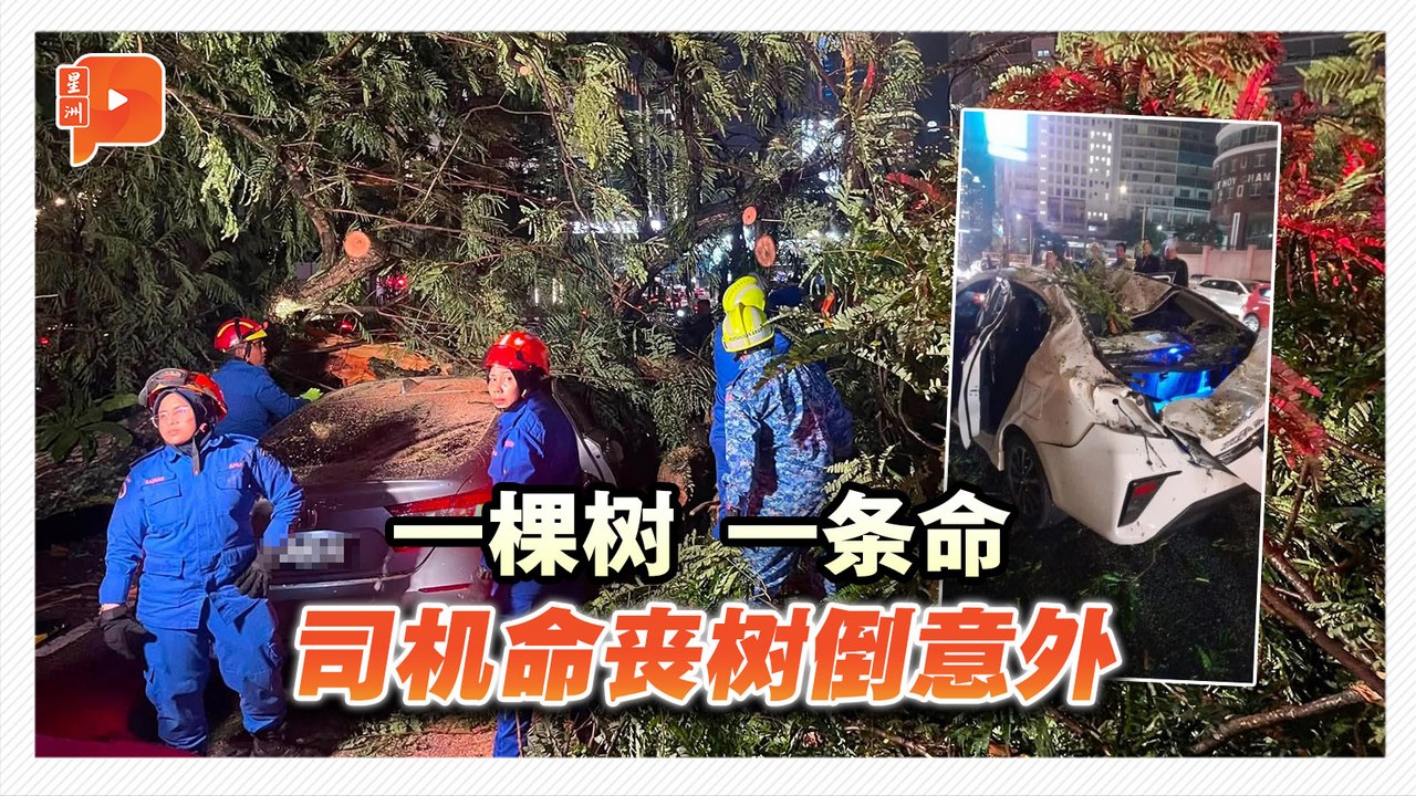 大树倒塌隆市树倒压车酿1死 43岁司机抢救后不治
