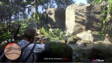 Holding off the Remainig Guards RDR2 Mission Kind Despot