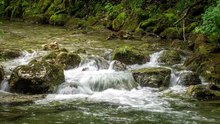 1 Hour of Relaxing River Sounds - Flowing Water and Forest Creek Ambience 🏞️