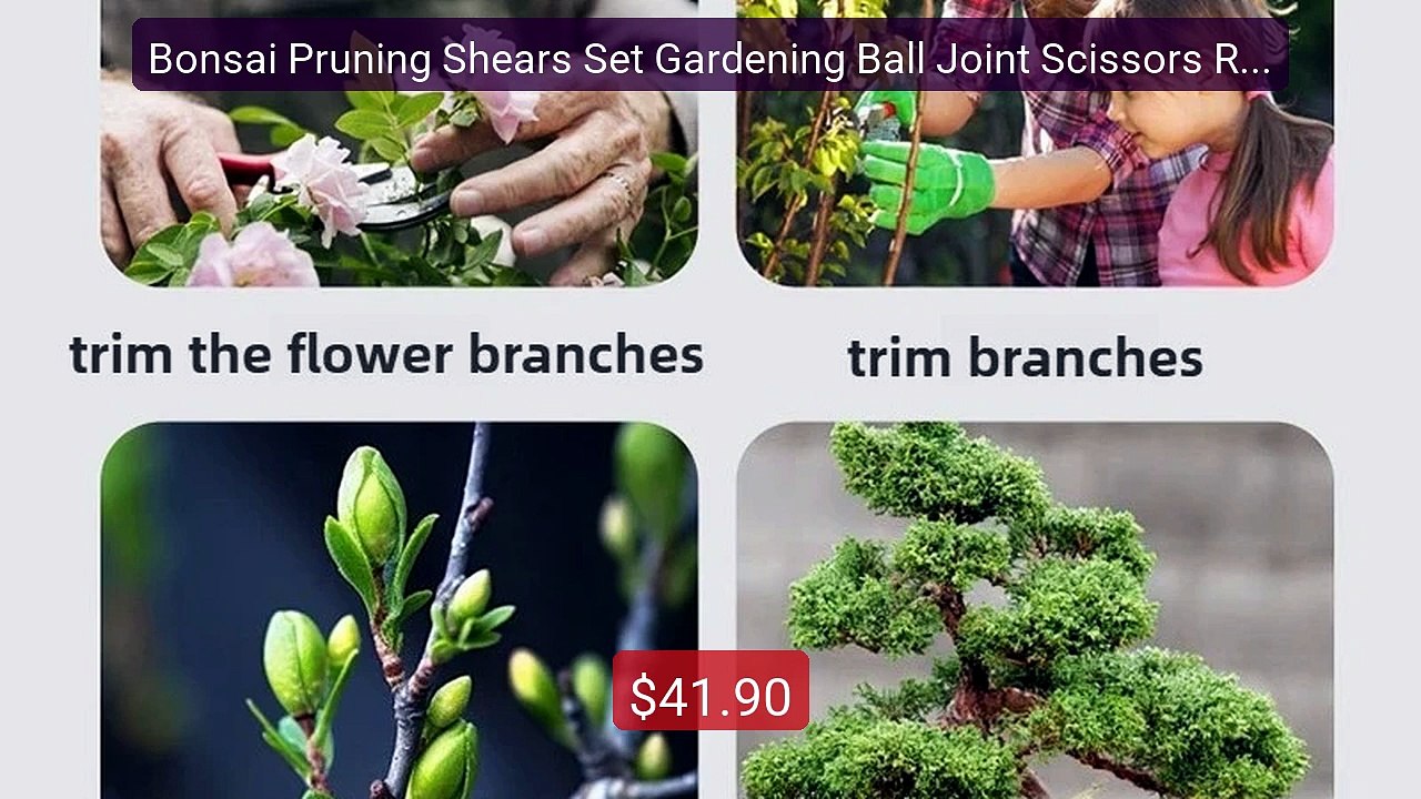 Bonsai Pruning Shears Set Gardening Ball Joint Scissors Repair Bur... -- Best Deal 2026 | Shop Now!