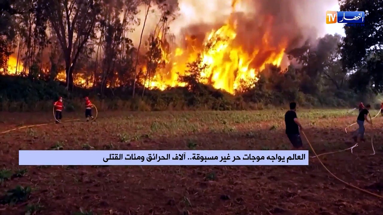 العالم يواجه موجات حر غير مسبوقة.. آلاف الحرائق ومئات القتلى