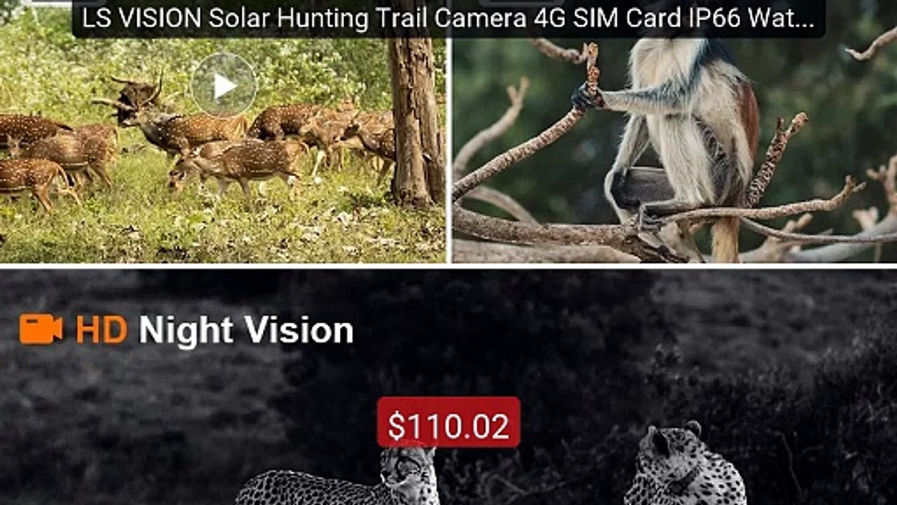 LS VISION Solar Hunting Trail Camera 4G SIM Card IP66 Waterproof 20... -- Top Rated 2026 | Buy Now!