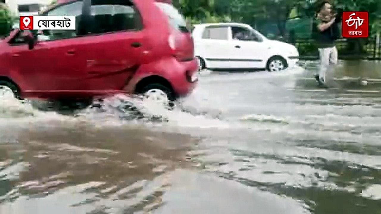 নলা নে ৰাজপথ ধৰিবই নোৱাৰি, কৃত্ৰিম বানৰ কৱলত যোৰহাট নগৰ