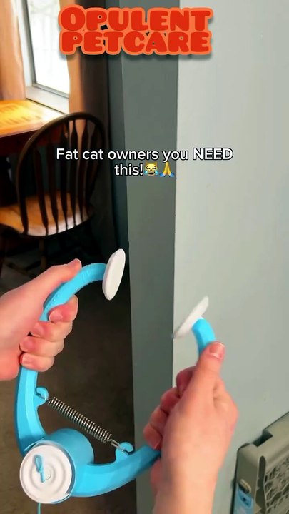 Colorful Beating Mouse Electric Door Holder – Automatic Hanging Cat Toy | Interactive Motion Toy for Cats