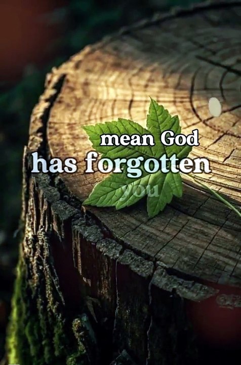🙏✨ Be Patient—God Hasn’t Forgotten You | Trust His Perfect Timing ❤️