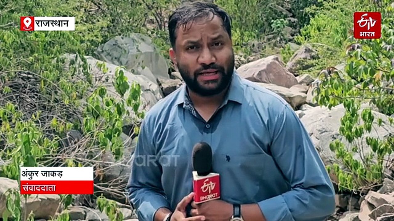Special : मानसून में हरियाली की चादर ओढ़ता जयपुर, जहां बहते हैं अरावली के झरने...युवाओं के लिए वीकेंड एडवेंचर हब