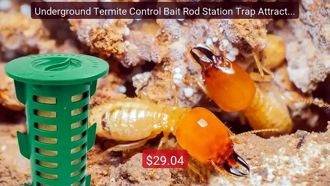 Underground Termite Control Bait Rod Station Trap Attract and Monit... -- Top Rated 2026 | Buy Now!