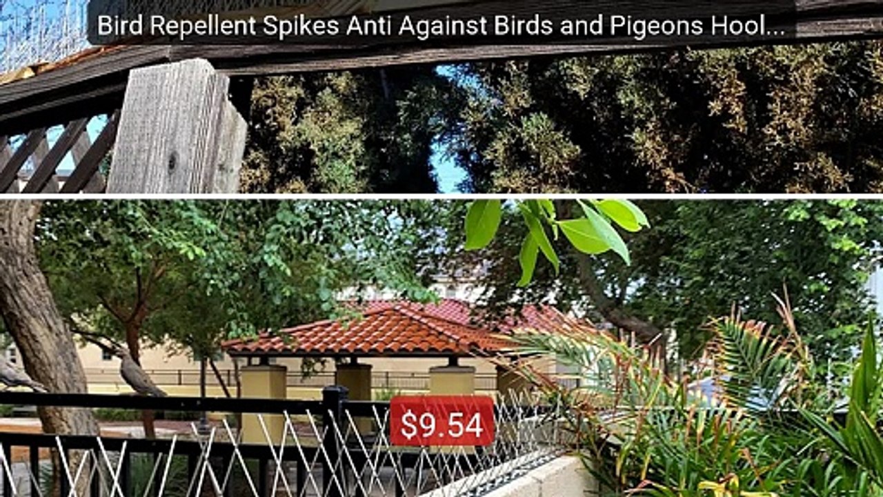 Bird Repellent Spikes Anti Against Birds and Pigeons Hooligans Det... -- Best Deal 2026 | Shop Now!