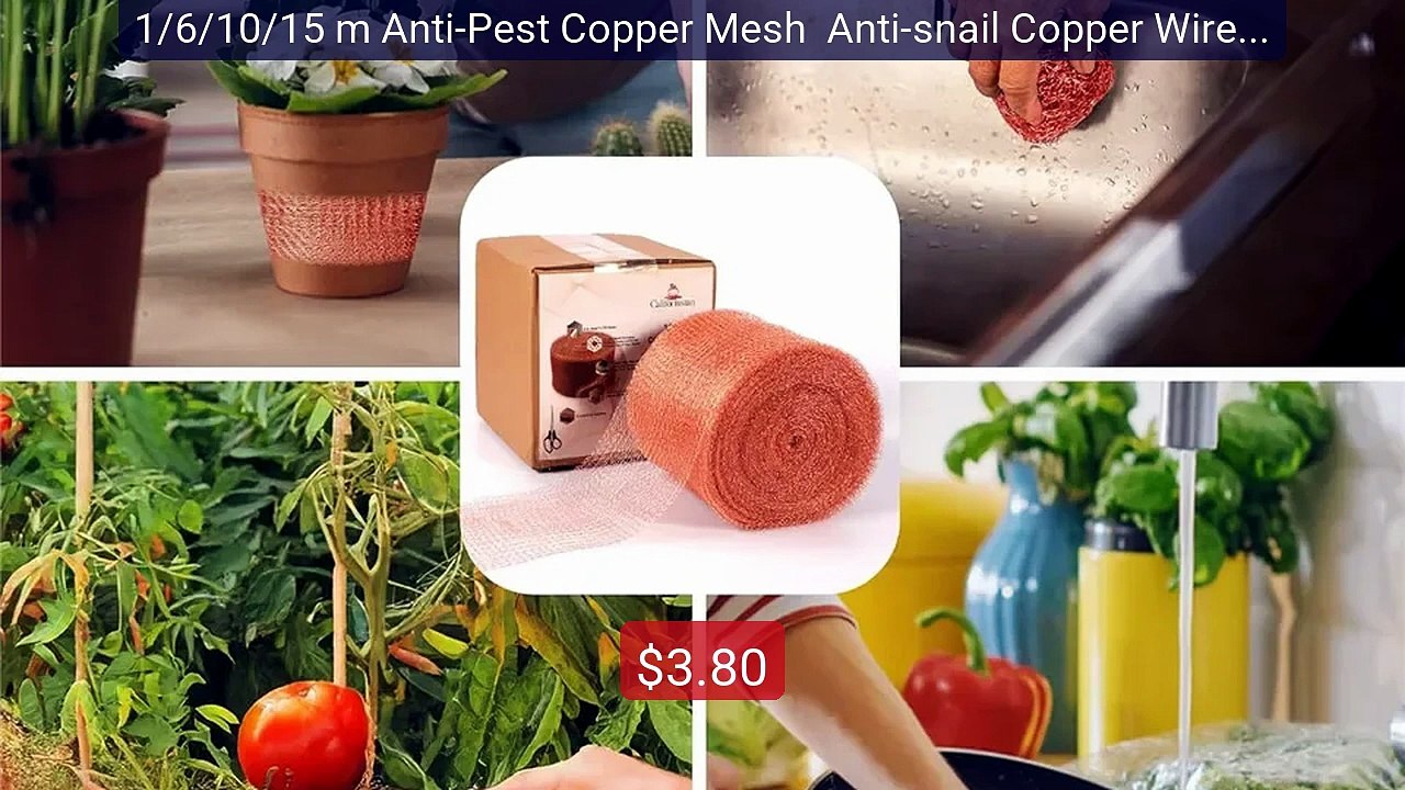 1/6/10/15 m Anti-Pest Copper Mesh  Anti-snail Copper Wire Net ... -- Hot Deal 2026 | Limited Offer!