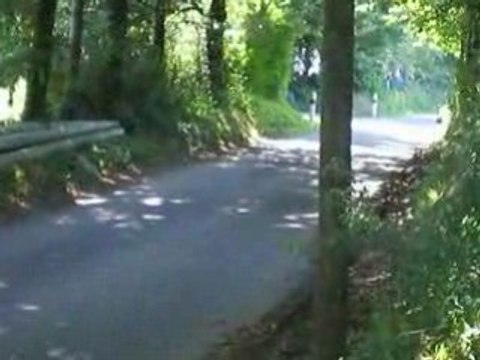 Da Cunha 206 WRC Rallye Rouergue 2008