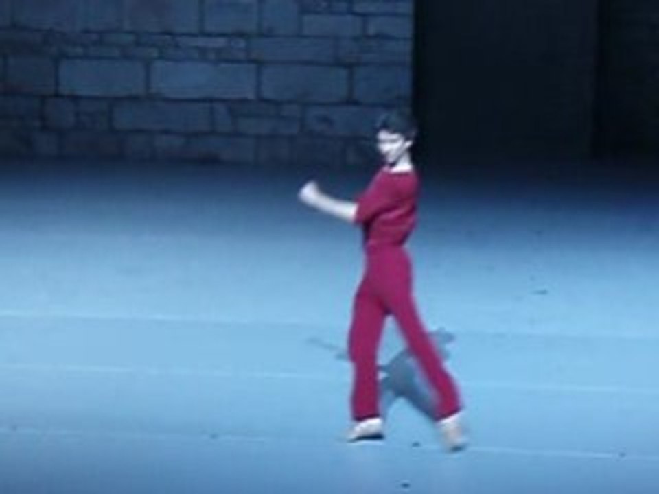 A SUITE OF DANCES: Damian Woetzel