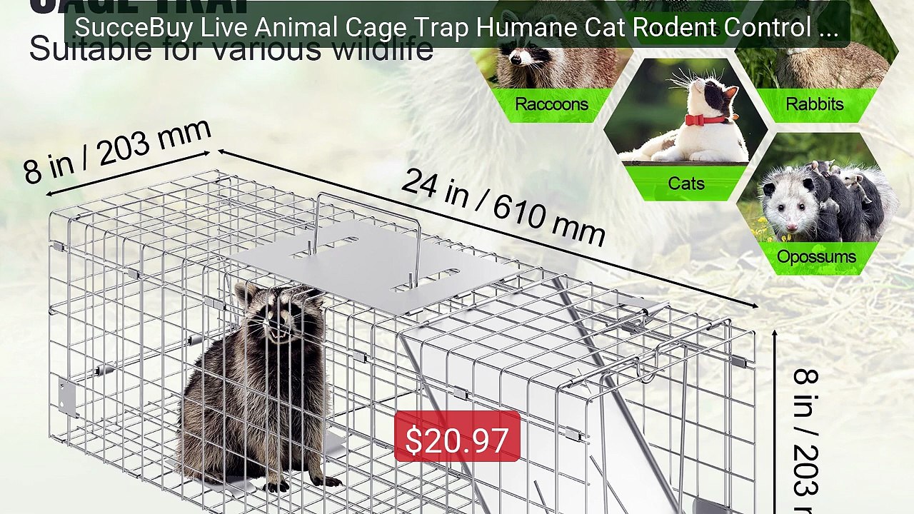 SucceBuy Live Animal Cage Trap Humane Cat Rodent Control Fo... -- Top Pick 2026 | Unbeatable Price!