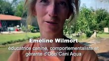 À Villeneuve-lès-Béziers, Occi'Cani Aqua propose un centre aquatique entièrement pensé pour les chiens
