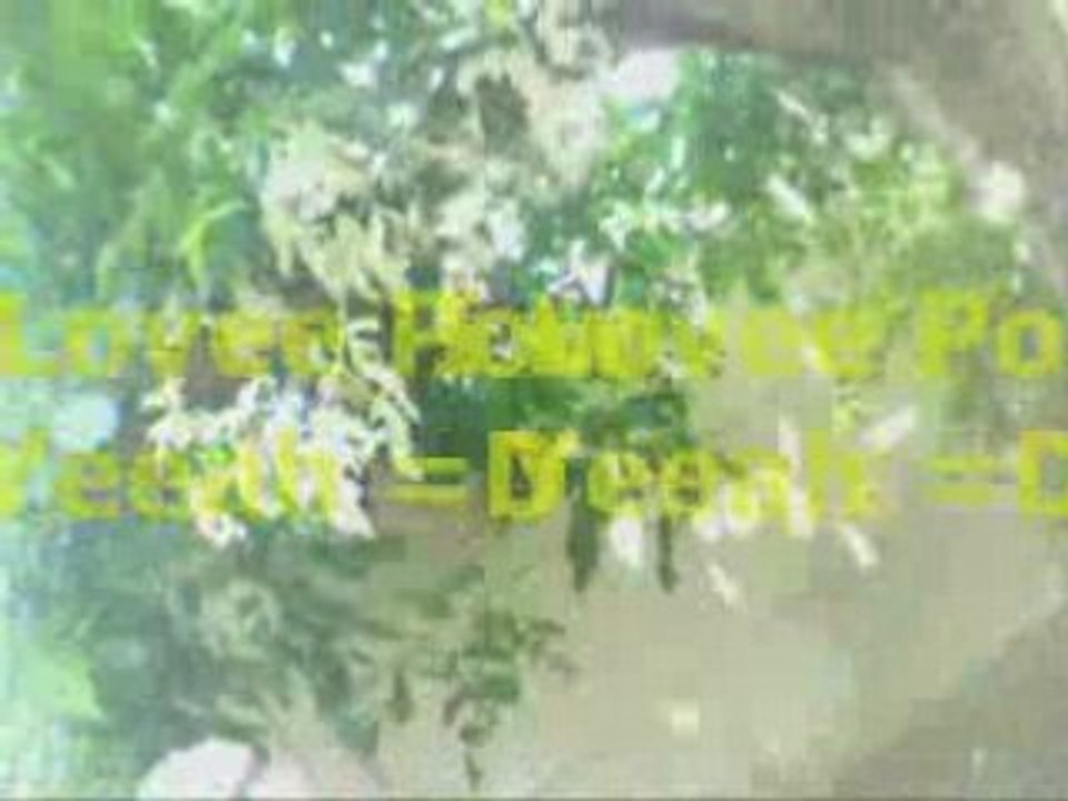 Diiw et Pow