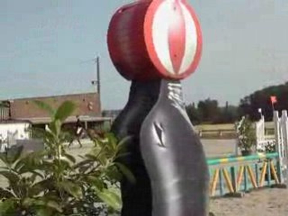 Yan et peggy chatelet 80cm