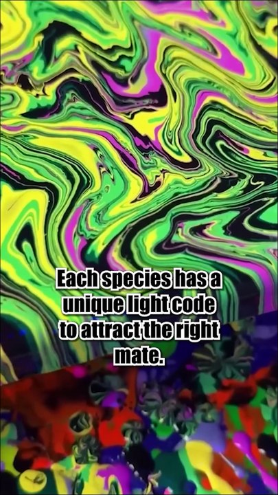 Did you know 6