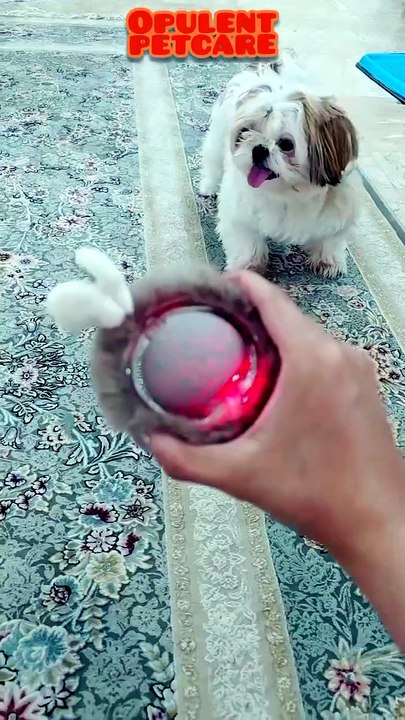 Cat Toy Rolling Ball – Self-Rolling Automatic C...