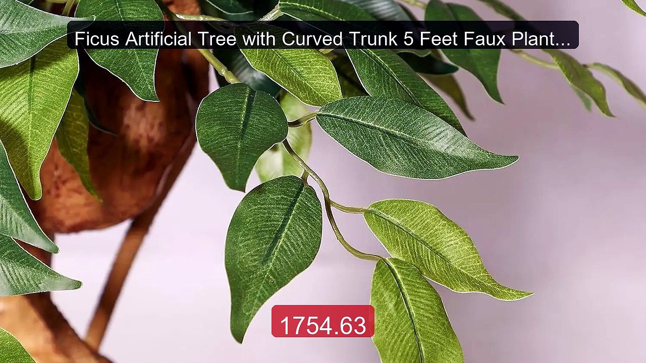 Ficus Artificial Tree with Curved Trunk 5 Feet...
