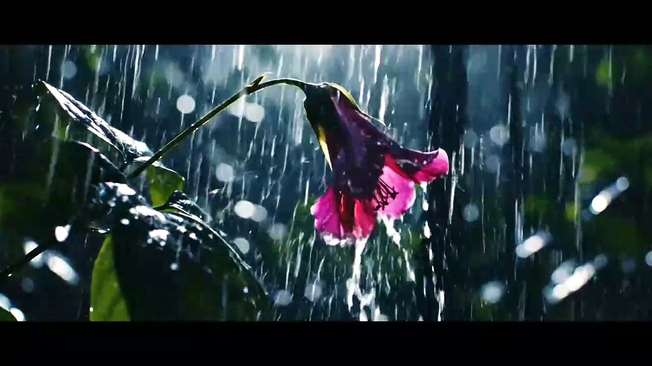 Heavy Rain Sound ASMR for Sleep And Relax
