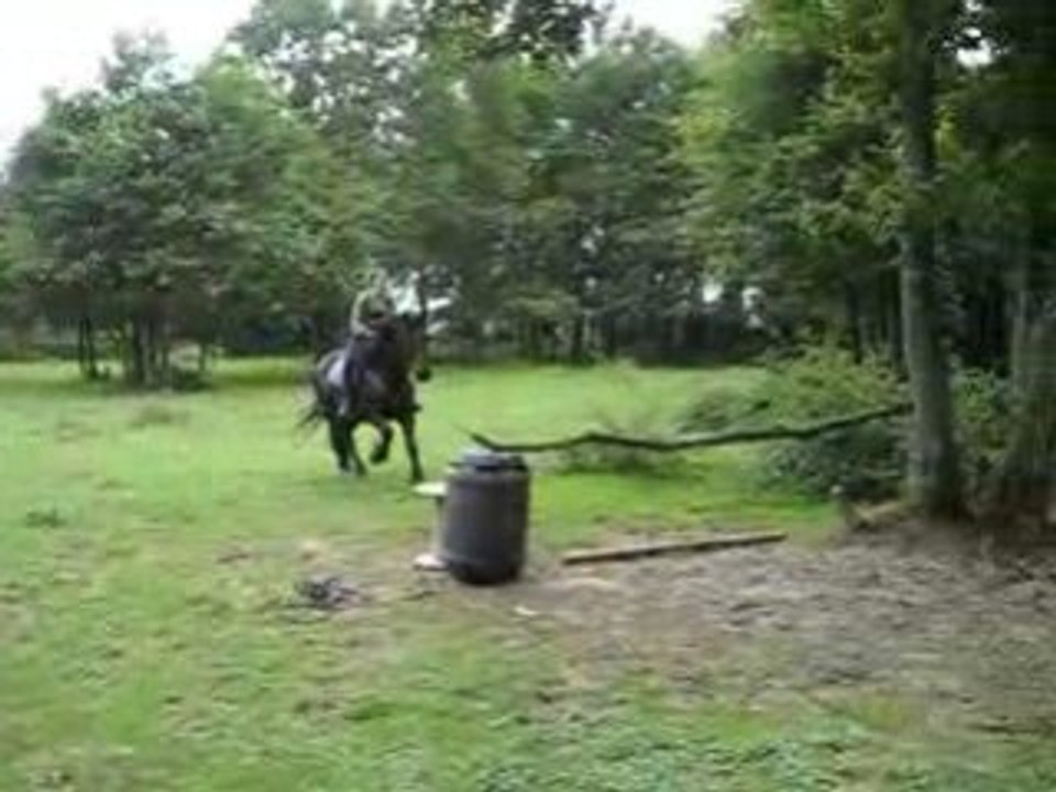 Le gros de lili saut 1