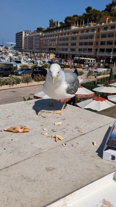 Monaco