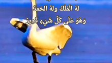 quranrecitation _ sirf ek dafa parle _ kafeelvibes (1)