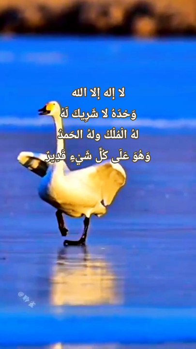 quranrecitation _ sirf ek dafa parle _ kafeelvibes (1)