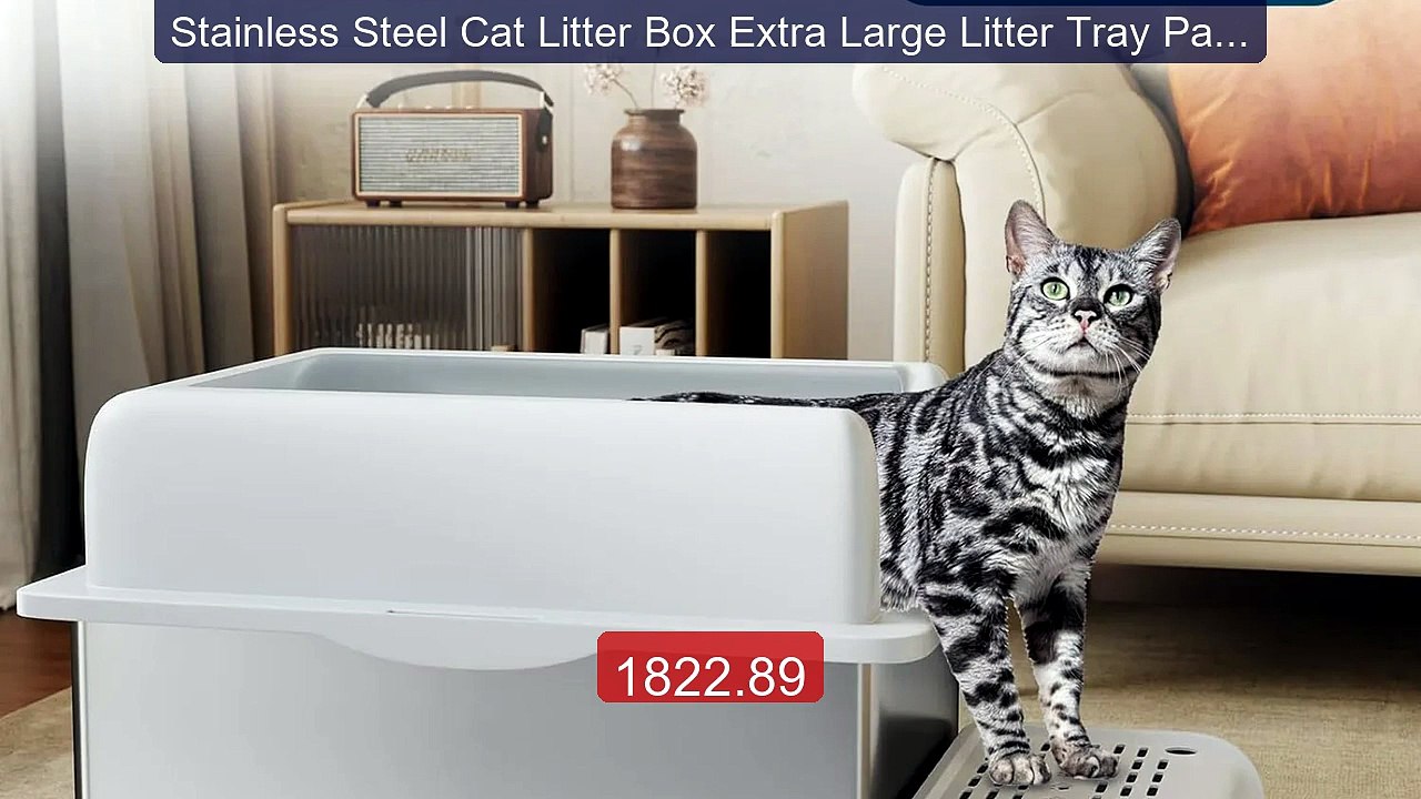 Stainless Steel Cat Litter Box Extra Large Litter Tray Pan for Big ... -- Top Rated 2026 | Buy Now!