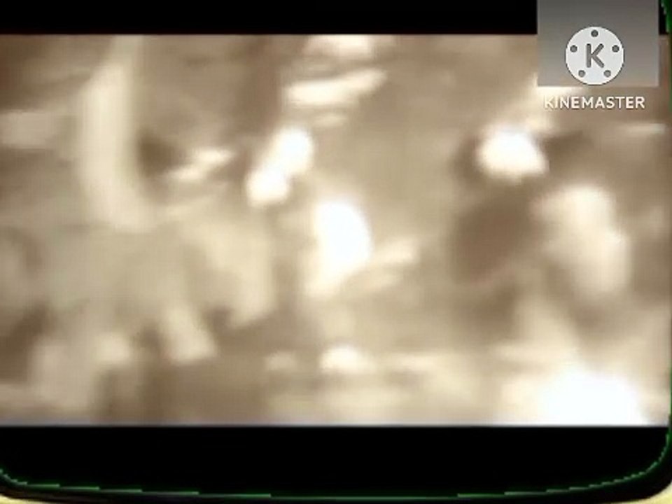 Grupo Amaru - Perdóname | Vídeoclip oficial
