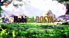 JIN TV |HABİTAT-Çewlig'te 113 Maden sahasına karşı ortak mücadele çağrısı