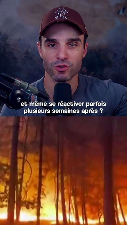 De quelle manière un incendie, tel que celui de Fontainebleau, peut-il se propager ? Et quelles mesures devons-nous prendre par la suite ?