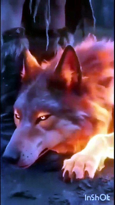 Silver Moon Wolf Princess - Ep ✅ FULL [Eng Sub] [Full Movie]