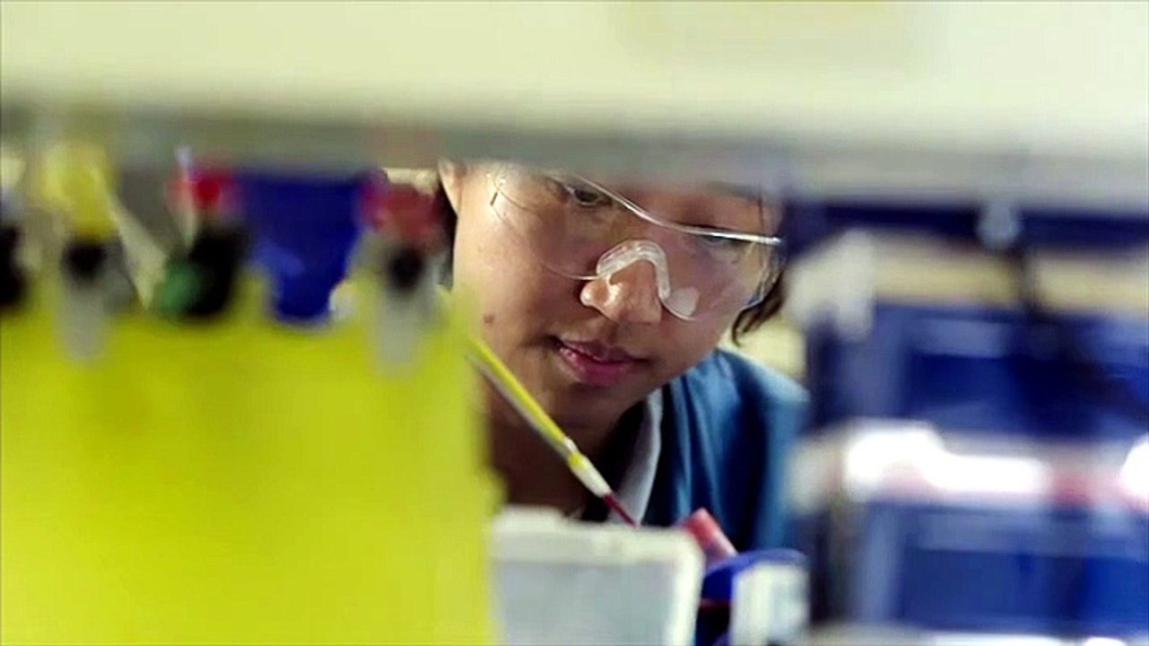 Cancer Detectives Finding the Cures Season 1 Episode 1 Engsub [Full Movie]