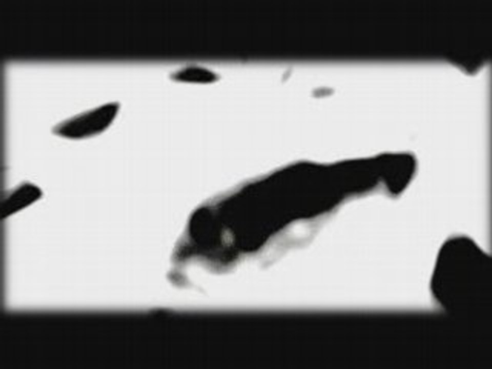 M Teaser 14