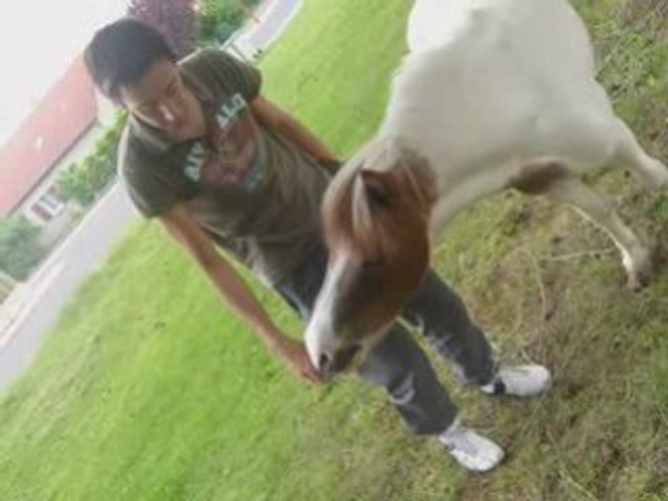 Poney  a loudes