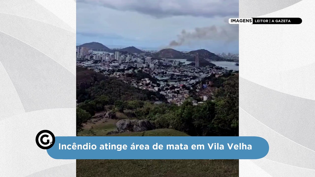 Incêndio atinge área de mata em Vila Velha