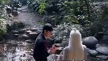 Hidden in Rags - The Healer Unleashed- Drama FULL MOVIES ENGLISH SUB [Full Movie]