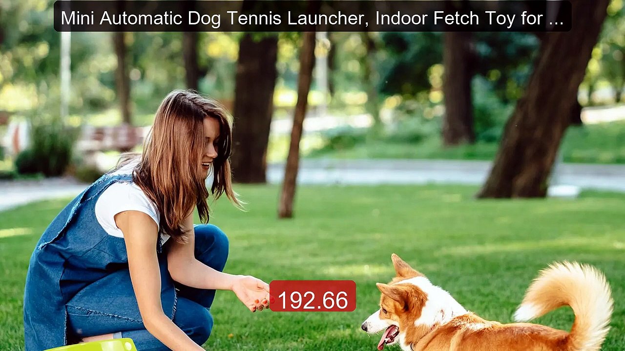 Mini Automatic Dog Tennis Launcher, Indoor Fetch Toy for Small... -- Hot Deal 2026 | Limited Offer!