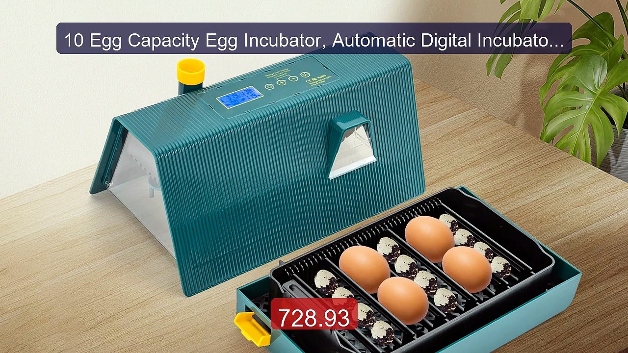 10 Egg Capacity Egg Incubator, Automatic Digital Incubator ... -- Top Pick 2026 | Unbeatable Price!