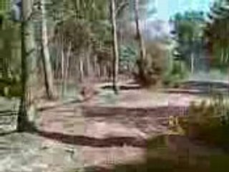 Baptème de Vitesse sur piste (avec Range Rover V8) - 2