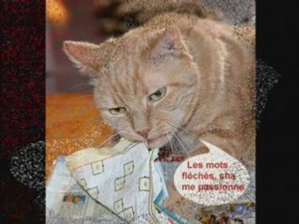 Tiites_blagues